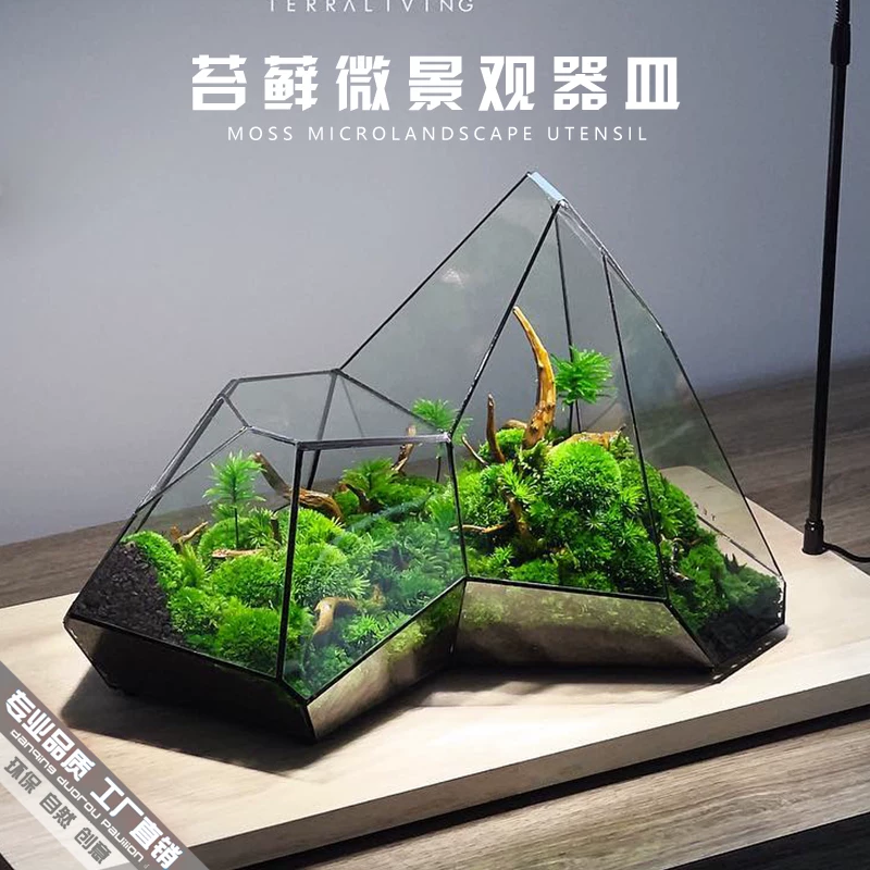 玻璃盆景微景观